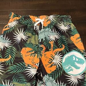 Dinosaur Print Swim Shorts Toddler Boys 2T new